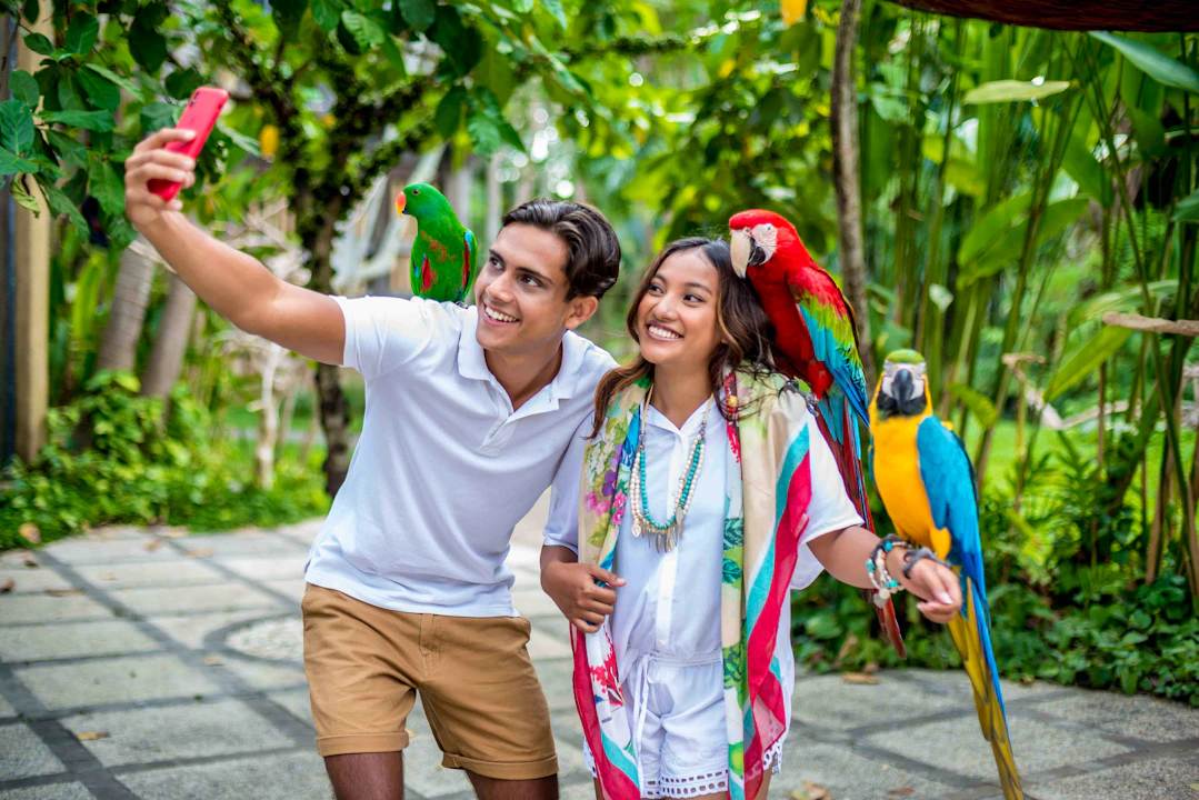 Bali Bird Park Tickets